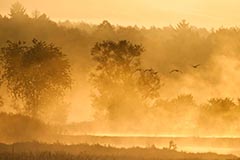 Sonnenaufgang - Zum Vergroessern klicken!